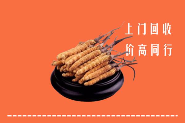 高价求购：邢台县回收散虫草