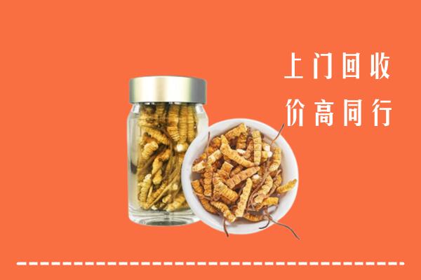 邢台县回收冬虫夏草